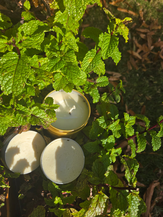 Mint EcoChic Fire Box