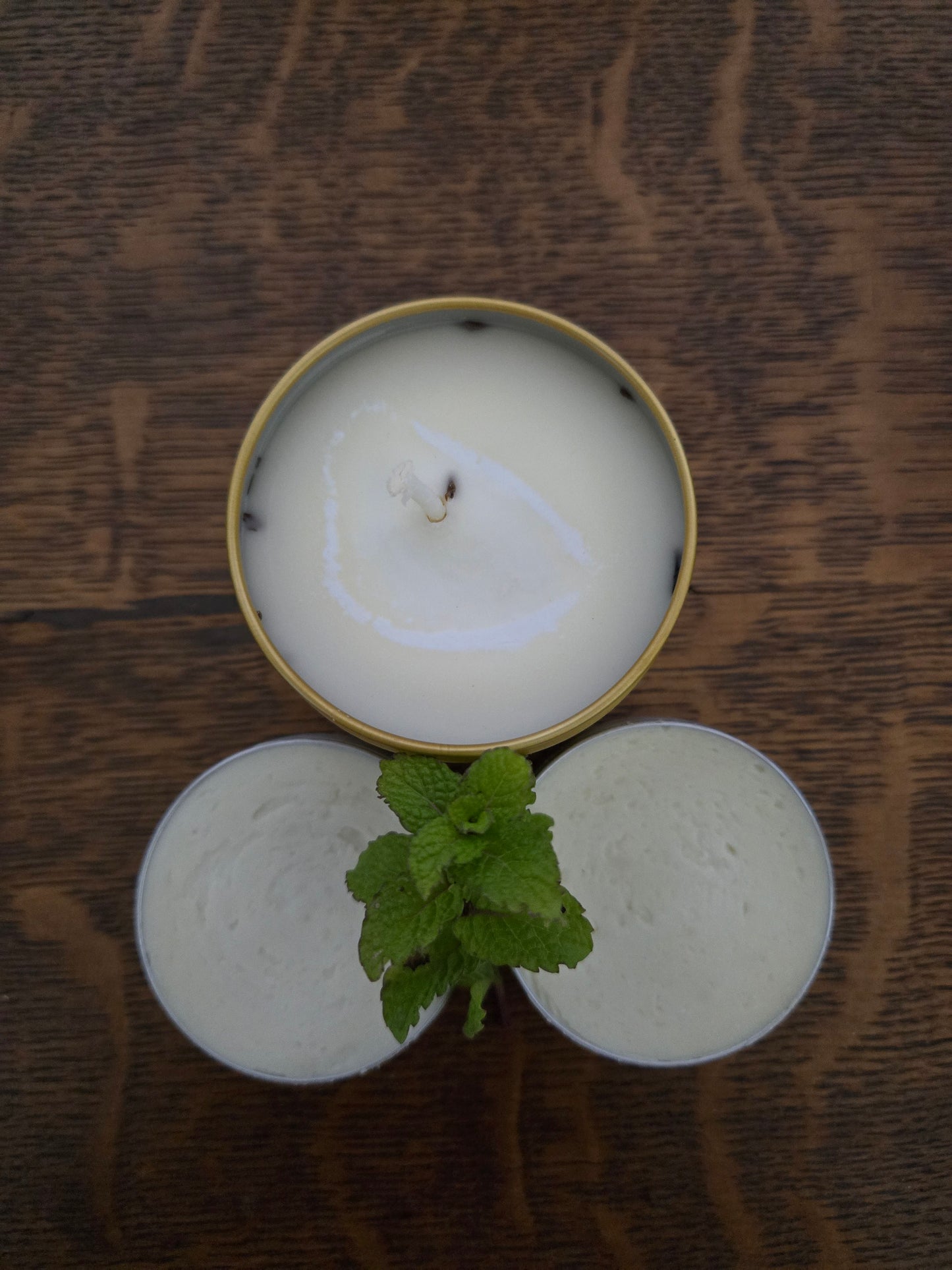 Mint EcoChic Bundle
