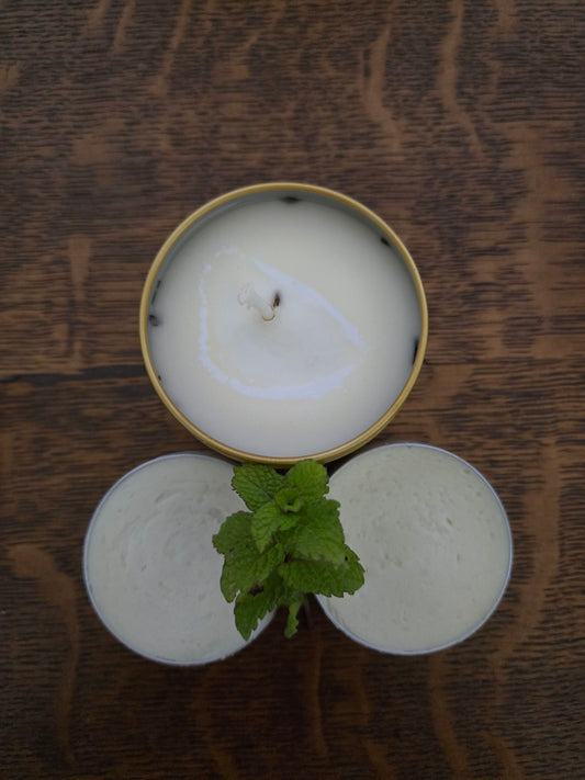 Mint EcoChic Bundle