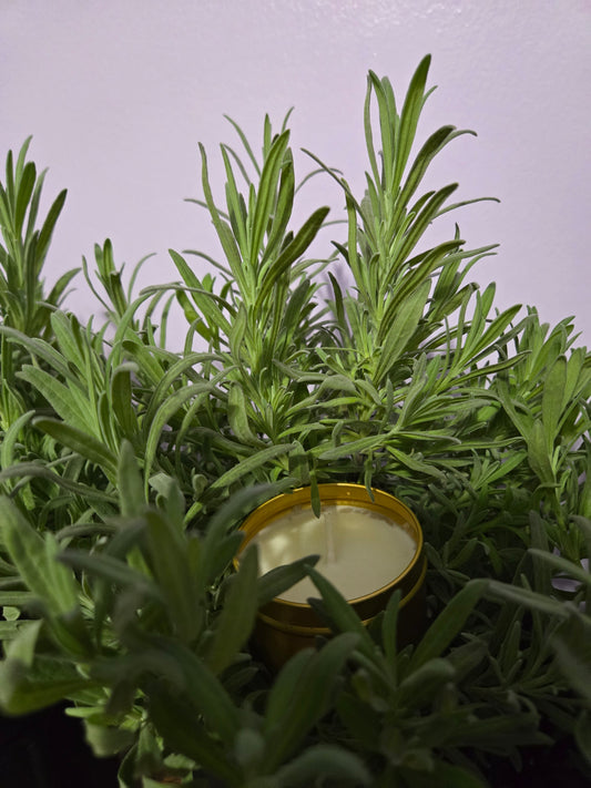 Lavender EcoChic Fire Box