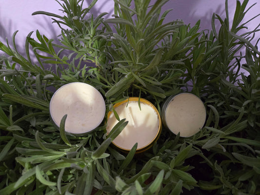 Lavender EcoChic Bundle