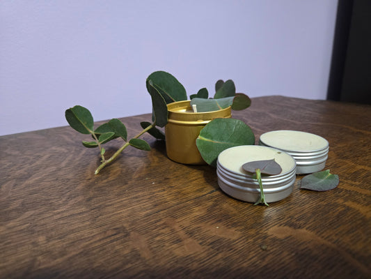 Eucalyptus EcoChic Bundle