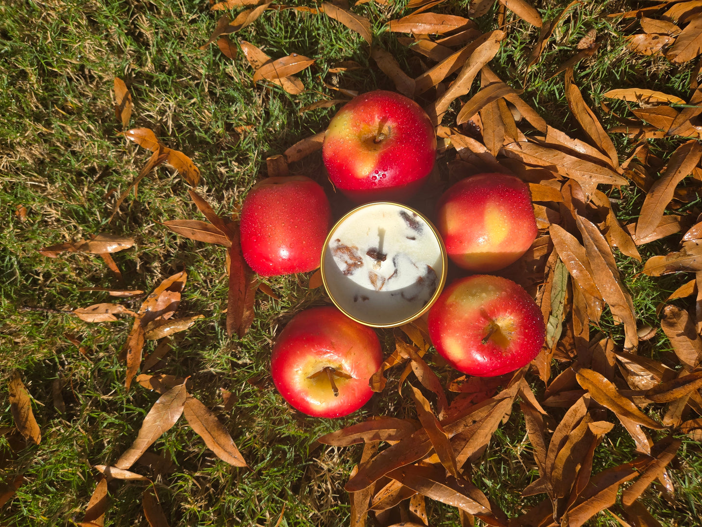 Apple EcoChic Fire Box