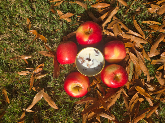 Apple EcoChic Fire Box