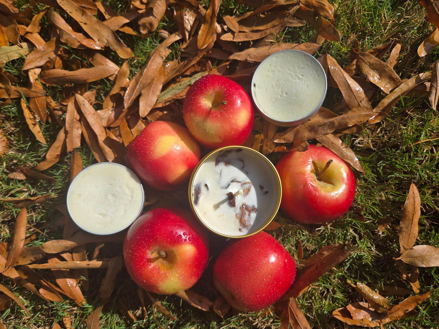 Apple EcoChic Bundle