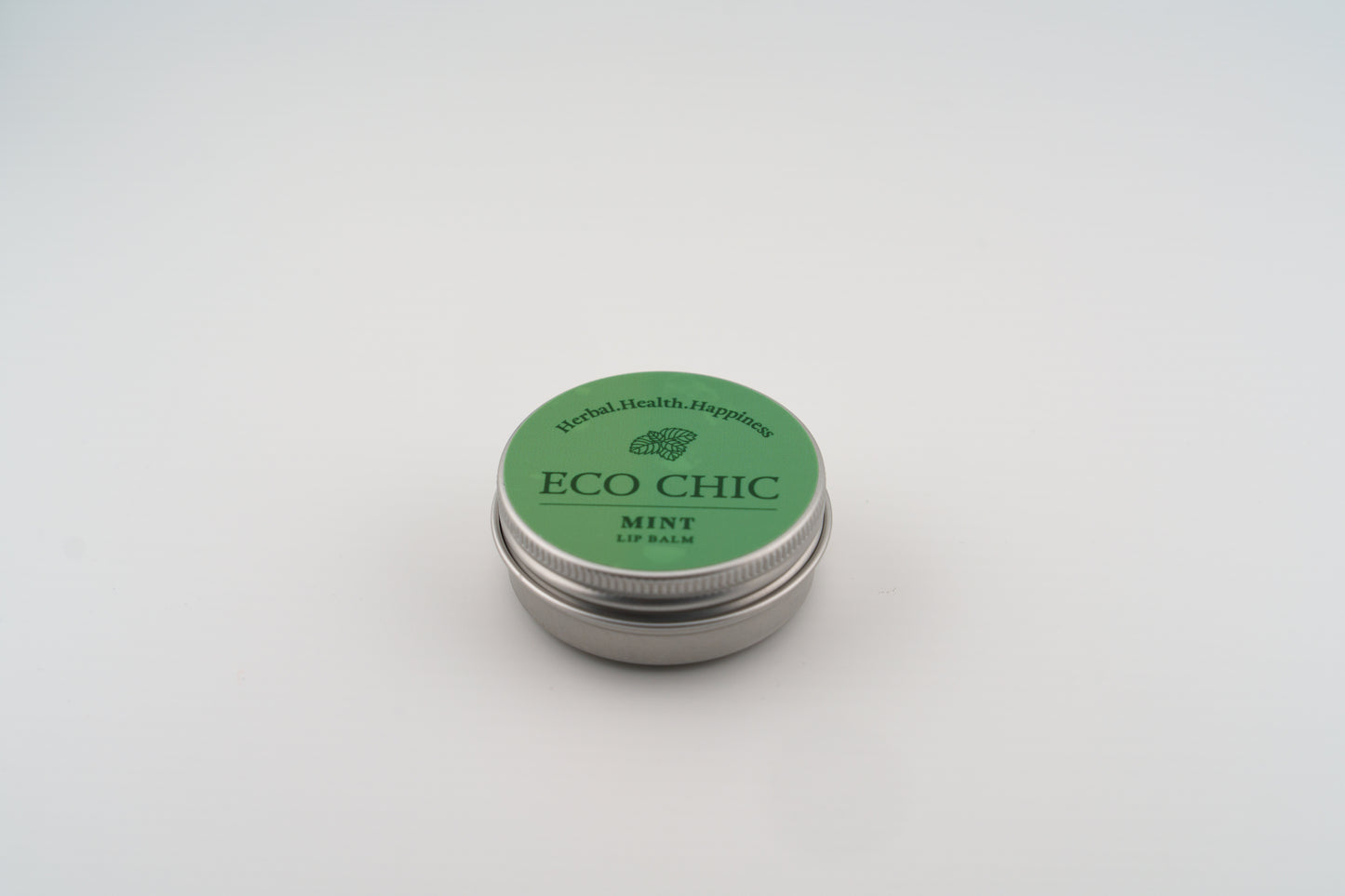Mint EcoChic Bundle
